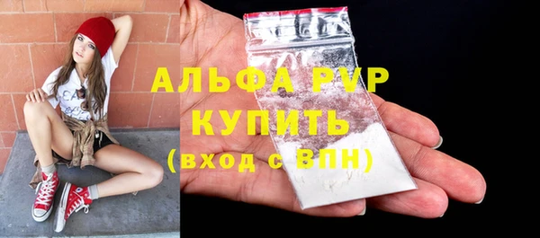 стафф Аркадак