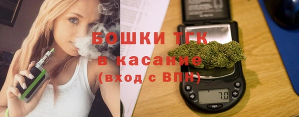 стафф Аркадак