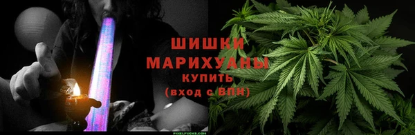 ешки Арсеньев