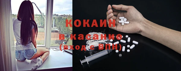 стафф Аркадак
