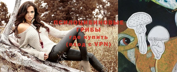 стафф Аркадак
