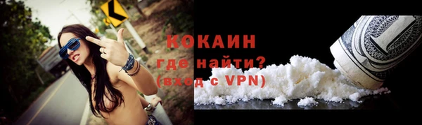 ешки Арсеньев