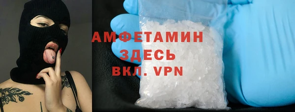 стафф Аркадак