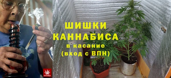 ешки Арсеньев