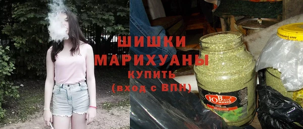 ешки Арсеньев